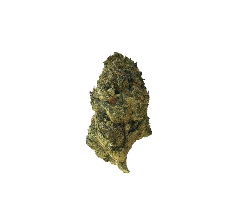 Exotic
